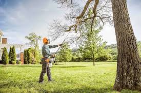 Best Hazardous Tree Removal  in Summerville, SC